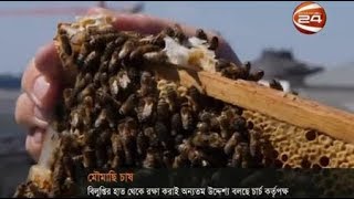 Berlin Cathedral's exceptional initiative to protect bees - CHANNEL 24 YOUTUBE