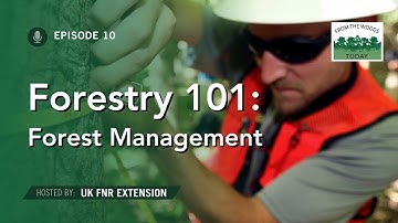 Forestry 101 Part 1 - From the Woods Today - Episode 10
