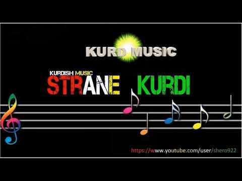       حسن شريف به لين زر و چلمسي