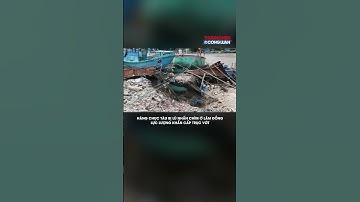 Hàng chục tàu bị lũ nhấn chìm ở Lâm Đồng, lực lượng khẩn cấp trục vớt | THCL