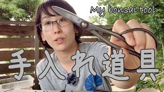 私の盆栽手入れ道具【キミのミニ盆栽びより】My bonsai tool