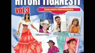 Nicolae Guta - Cana vrial