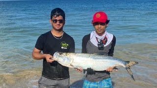 Catching Monster Tarpon in Tobago | Kos M Fishing | Snook Master