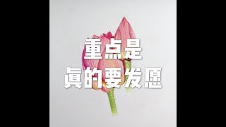 201506 重点是真的要发愿21973