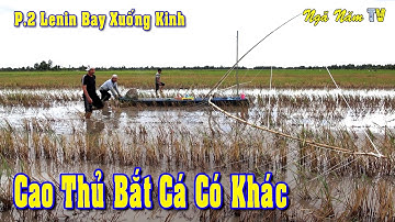 Đẩy Côn Bắt Cá Anh Hoàng Làm Điều Này Ai Cũng Vỗ Tay Cá Thấy Ham, lenin Bay Xuống Kinh/NGÃ NĂM TV