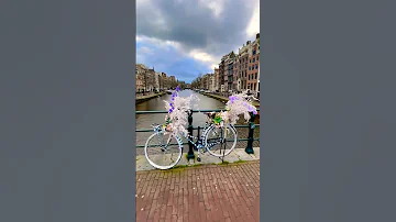 Beautiful Amsterdam #netherlands #viral #shorts