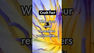 yts5.7 #motivation #love #funny