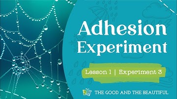 Adhesion Science Experiment | Water and Our World | The Good and the Beautiful