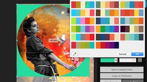 PhotoScape X: A Photo Editor for the Mac