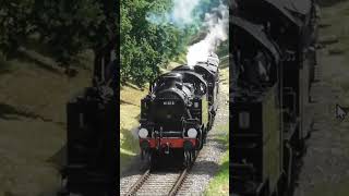 #Shorts Bluebell Railway &#39;Branch Line Gala&#39; Preview - 41313