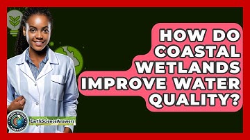 How Do Coastal Wetlands Improve Water Quality? - Earth Science Answers
