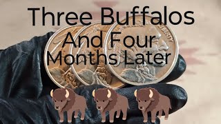Celebrity 4 Months of Silver Stacking!! + GAW! Wealth