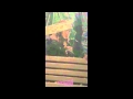 120214 난폭한로맨스 14회 촬영현장 소녀시대 제시카 직캠.wmv