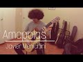 Amapolas 1 - Javier Menichini