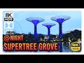 'SUPERTREE GROVE' by Night - Singapore - Gardens by the Bay 8K HDR