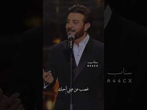 اتحبني غصب عن عيني احبك اصالة ماجد المهندس