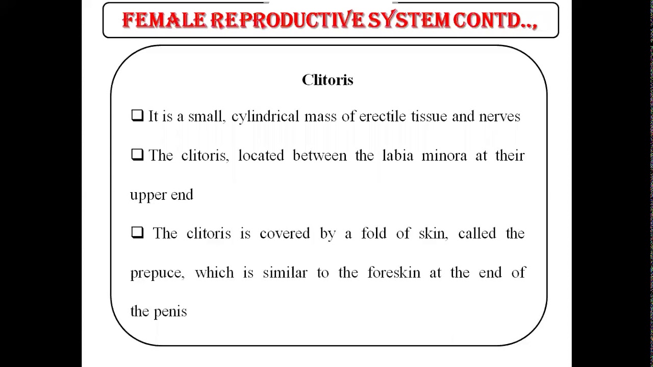 Female Reproductive System-Unit-V, part-3_1.5T_Human Anatomy ...
