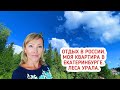 Отдых в России. Моя квартира в Екатеринбурге. Леса Урала. Собираем чернику. Лесные травы.