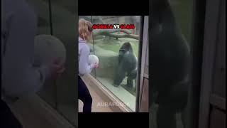 What if the animals were outside the cages? ☠️#foryou #☠️+999