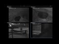 2020/12/29　五月山動物園ウォンバットてれび ライブカメラ Wombat Live Stream