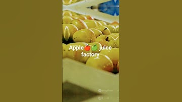 How APPLE JUICE is Made IN FACTORIES | Modern Fruit Juice Making Technology