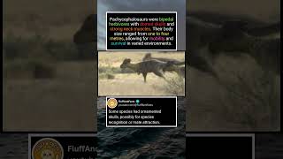 Pachycephalosaurs Behaviour and Anatomy