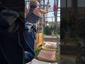 SASUKE3rdステージ【スイングエッジ】を自由に動くとこうなる#sasuke #ninjawarrior #ninja #training #parkour #diy #shorts #3rd