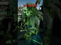 Subscribe for more Sea of Thieves Content!  #seaofthieves #gaming #seaofthievesclips