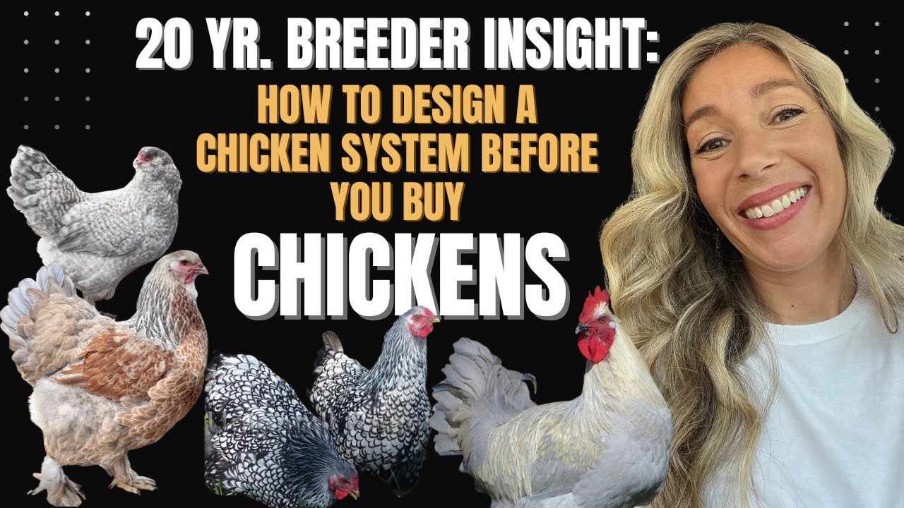 20-Year Breeder Insight: How to Design a Chicken System Before You Buy Chickens (or Fix Current One)