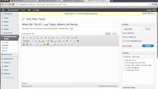 Fullwidth Audio Player Tutorial - Wordpress
