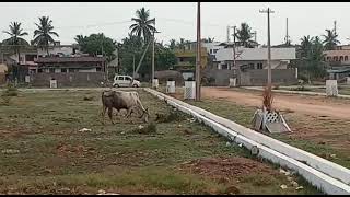 SRI VARSHITHA DRIVING SCHOOL RAMACHANDRAPURAM screenshot 1