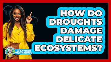 How Do Droughts Damage Delicate Ecosystems? - Weather Watchdog