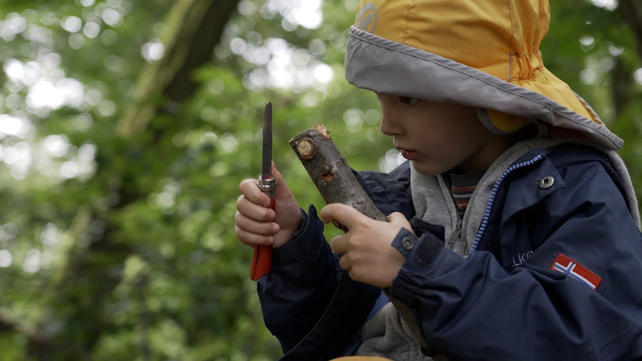 Wo Kindheit Wurzeln schlägt - Wann warst du eigentlich das letzte Mal im Wald?