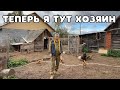 Что Стало с Хозяйством, пока мы на море? Как там собаки, лошади и козы?