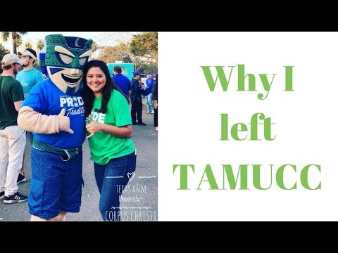 Leaving TAMUCC and transferring (the honest truth) | Leaving Texas A&M University-Corpus Christi