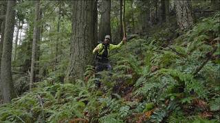 Urge WA Lawmakers to Fund Forest Natural Climate Solutions