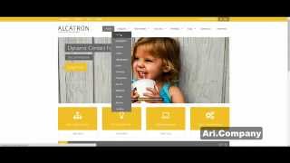 WordPress шаблон Alcatron - Ari.Company