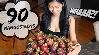 90 MANGOSTEEN Fruit Feast!