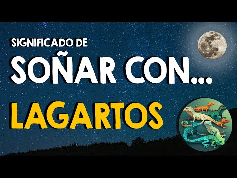 ¿Qué significa soñar con lagartos? 🦎 Soñar con lagartos de diferentes colores y tamaños 🦎