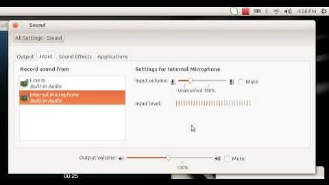 Skype Sound Problem - Ubuntu