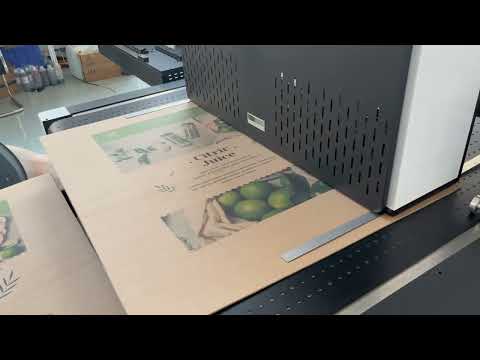Large format single pass digital printer