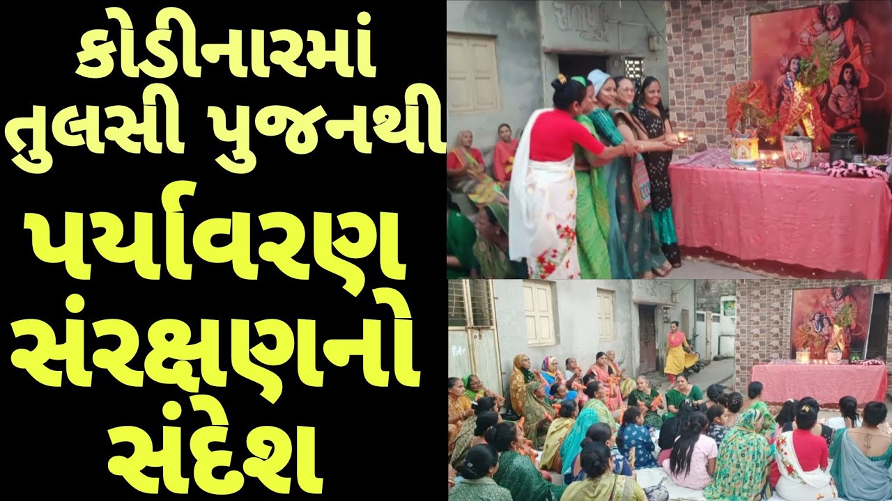 ગોપી મંડળ અને રાષ્ટ્રીય સેવિકા સમિતિ દ્વારા તુલસી પૂજન કાર્યક્રમ કોડીનાર | TULSI PUJAN KODINAR 