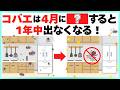 【今しかできない】コバエを1年中見たくない人は4月中に必ずコレやって！