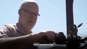 Meet the Team: Keith