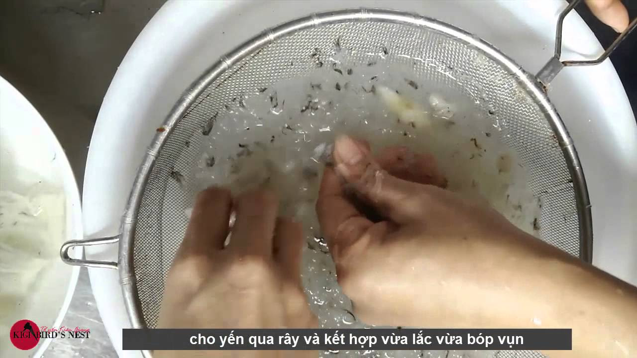 CÁCH NHẶT LÔNG YẾN HIỆU QUẢ CAO - youtube