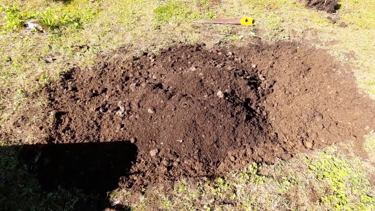 Perennapenkin perustus