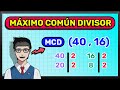 MÁXIMO COMÚN DIVISOR (MCD) - SUPER FÁCIL (para principiantes)