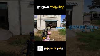 [배틀그라운드] 갈대같은 그의 취향