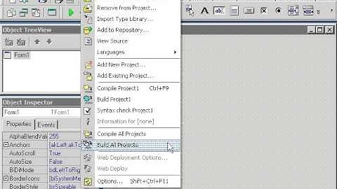9  Delphi 7 Меню Project