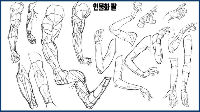 Anatomy of female drawing reference  그리기 튜토리얼, 드로잉 강좌